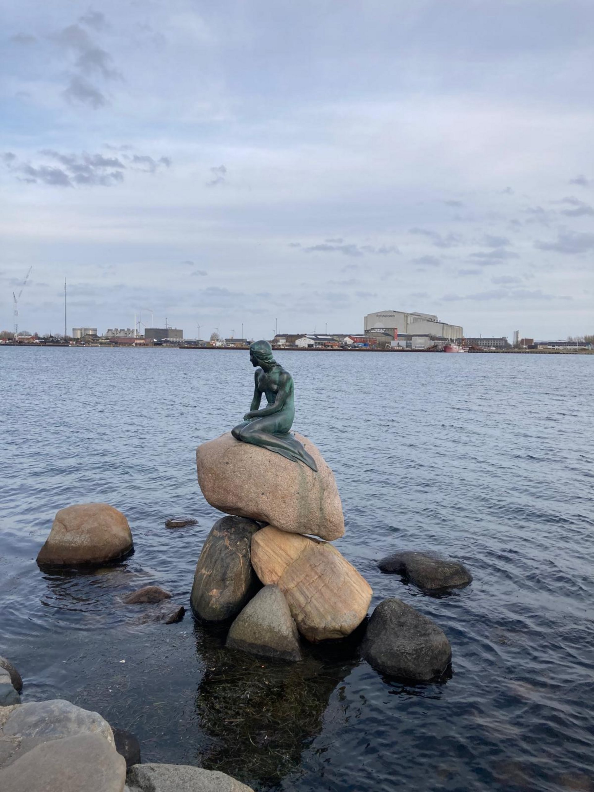 WhatsApp_Image_2026-03-13_at_09