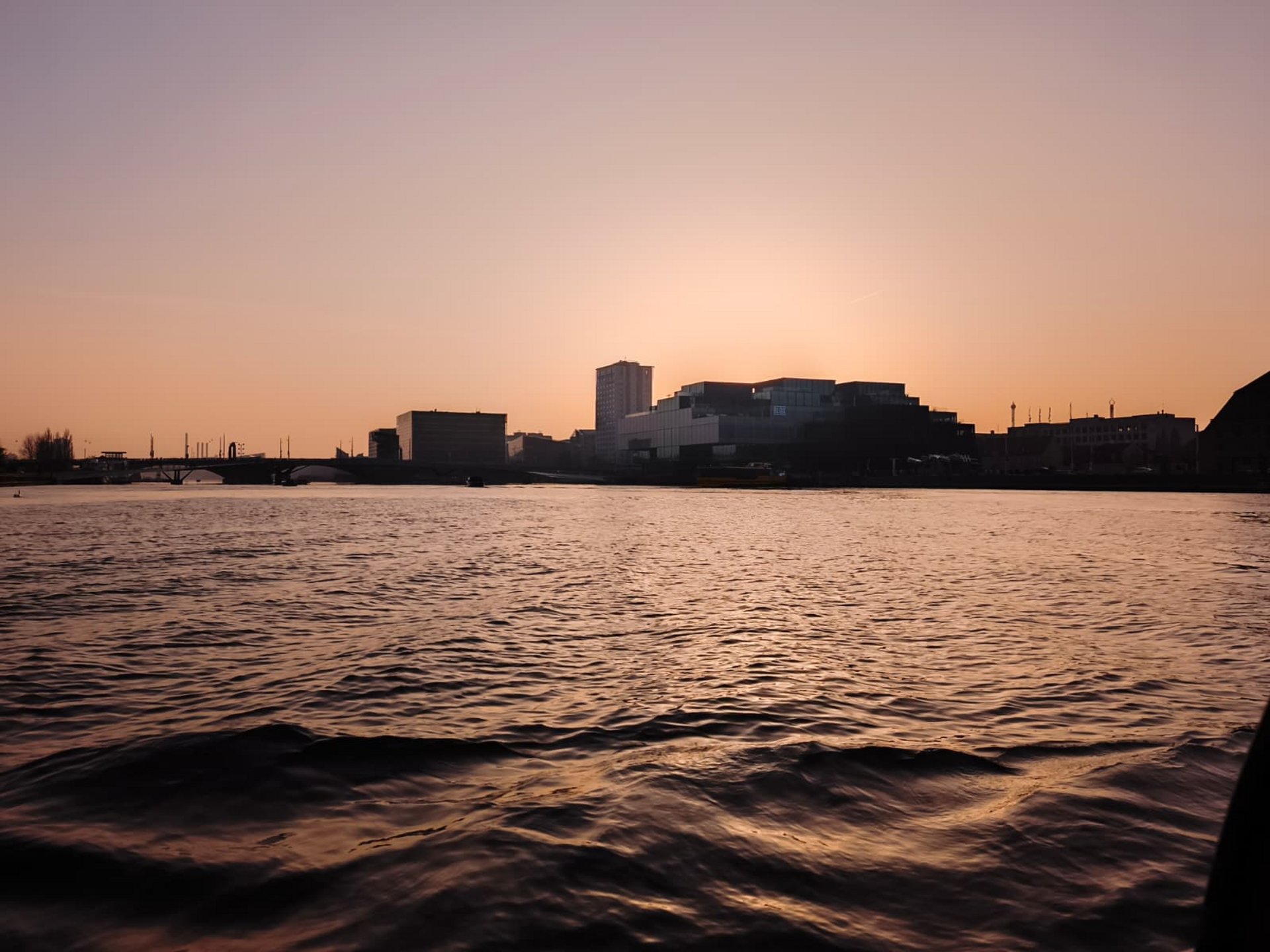 WhatsApp_Image_2026-03-13_at_09