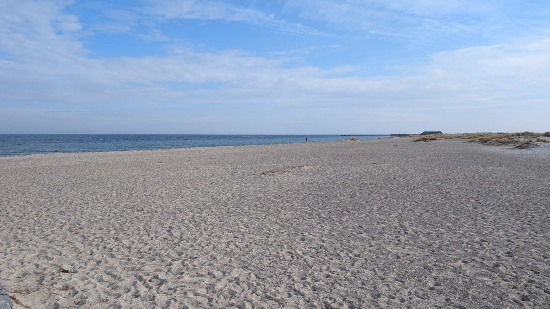 WhatsApp_Image_2026-03-11_at_14